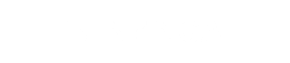 Benzinga logo with bold blue text spelling 'Benzinga' in uppercase. - Phoenix | LUNARTECH