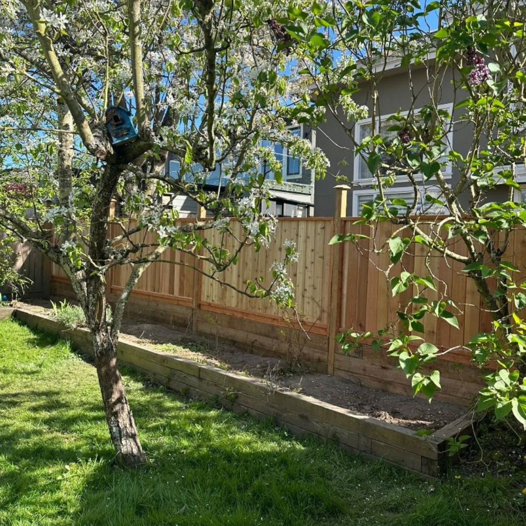 Fence Post & Panel Replacement