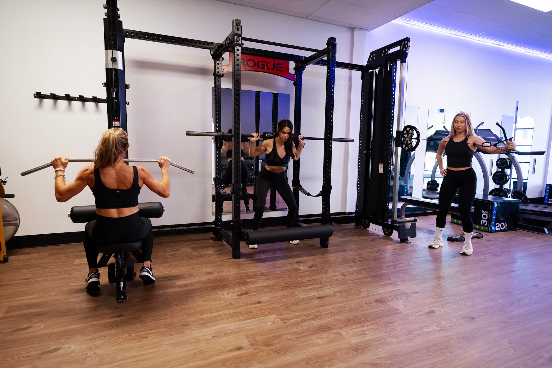 image of group class in action (for a gym)