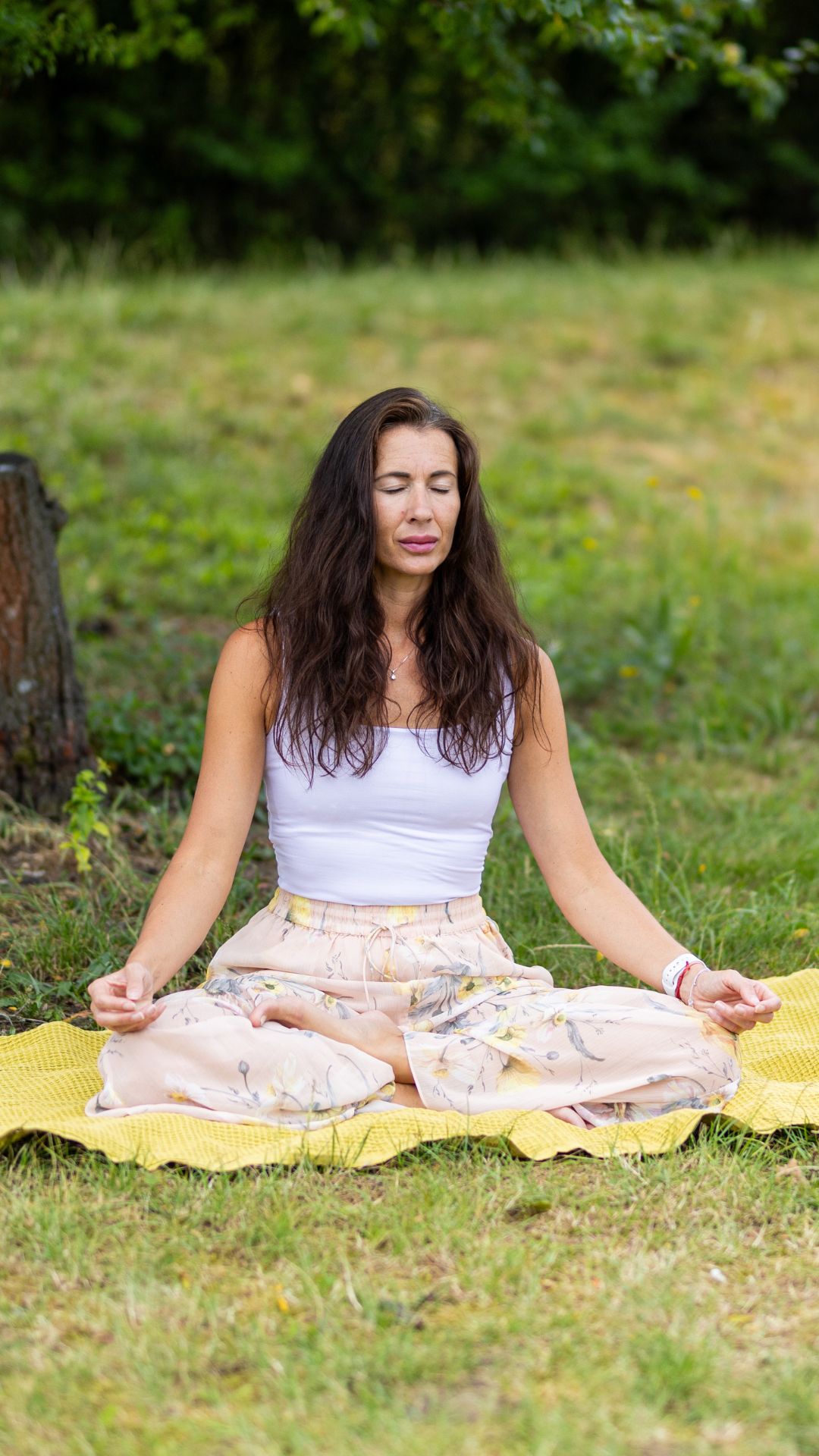 Zazu Naturals Story Reference 3