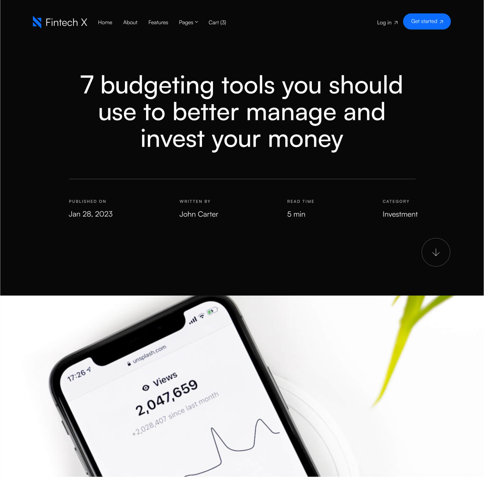 Blog Post - Fintech X Webflow Template
