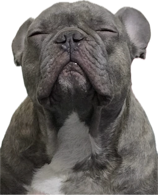 Emilie young holding a gameboy