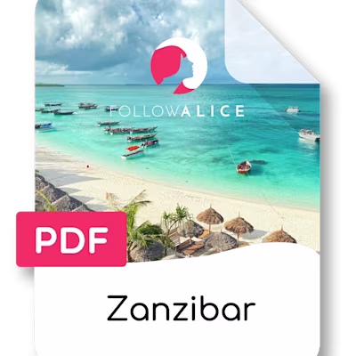 Zanzibar PDF Download Icon