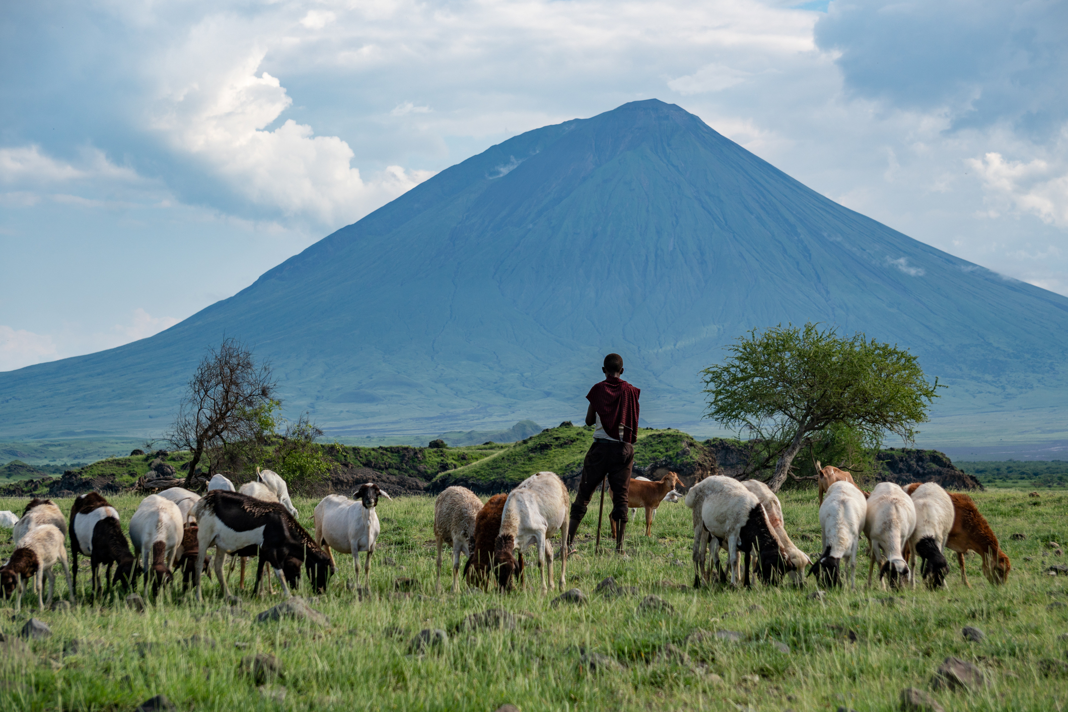 A Maasai shepherd in front of Mount Ol Doinyo Lengai, Tanzania