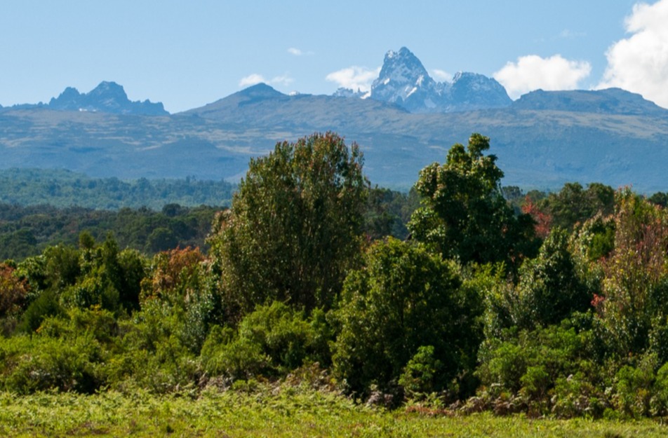 Profile of Mt Kenya