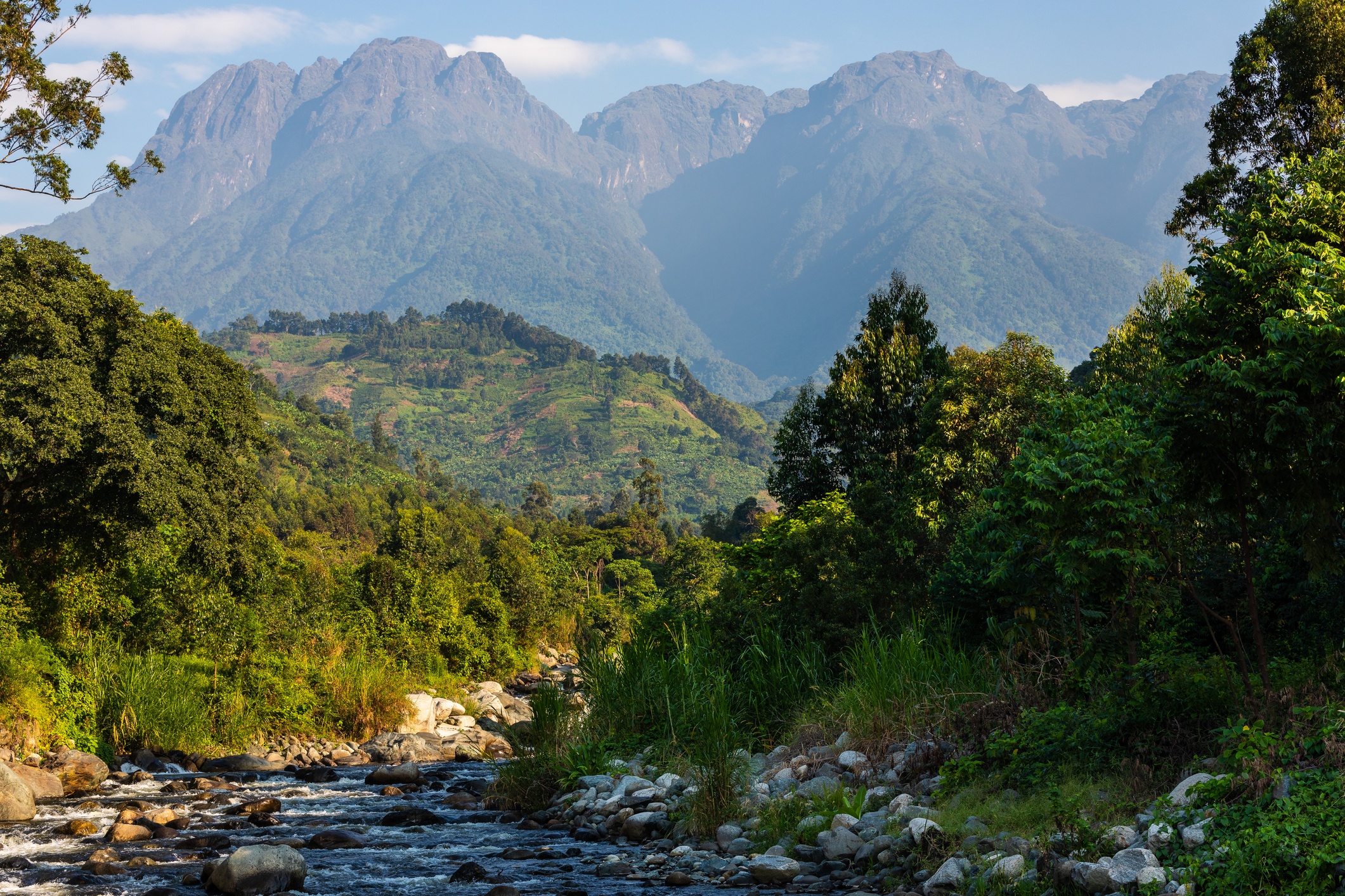 Rwenzori Mountains, Uganda