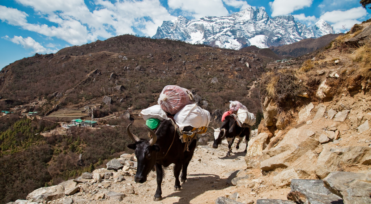 Everest Base Camp Trek