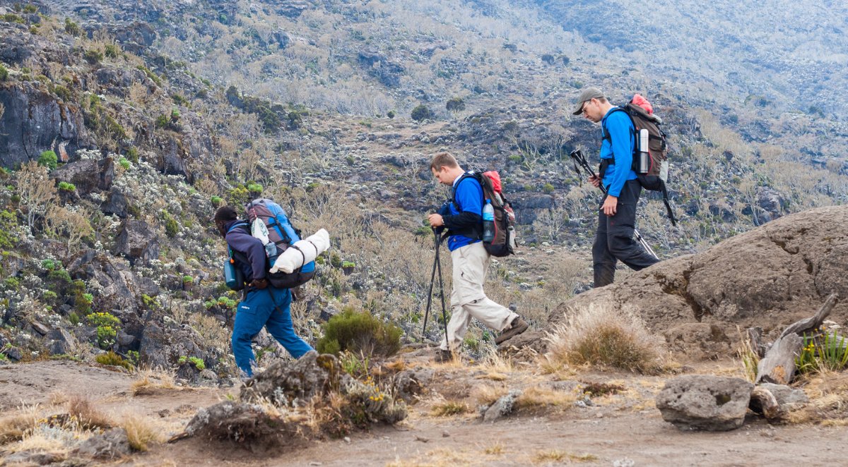 Guide leading tourists to Mount Kilimanjaro