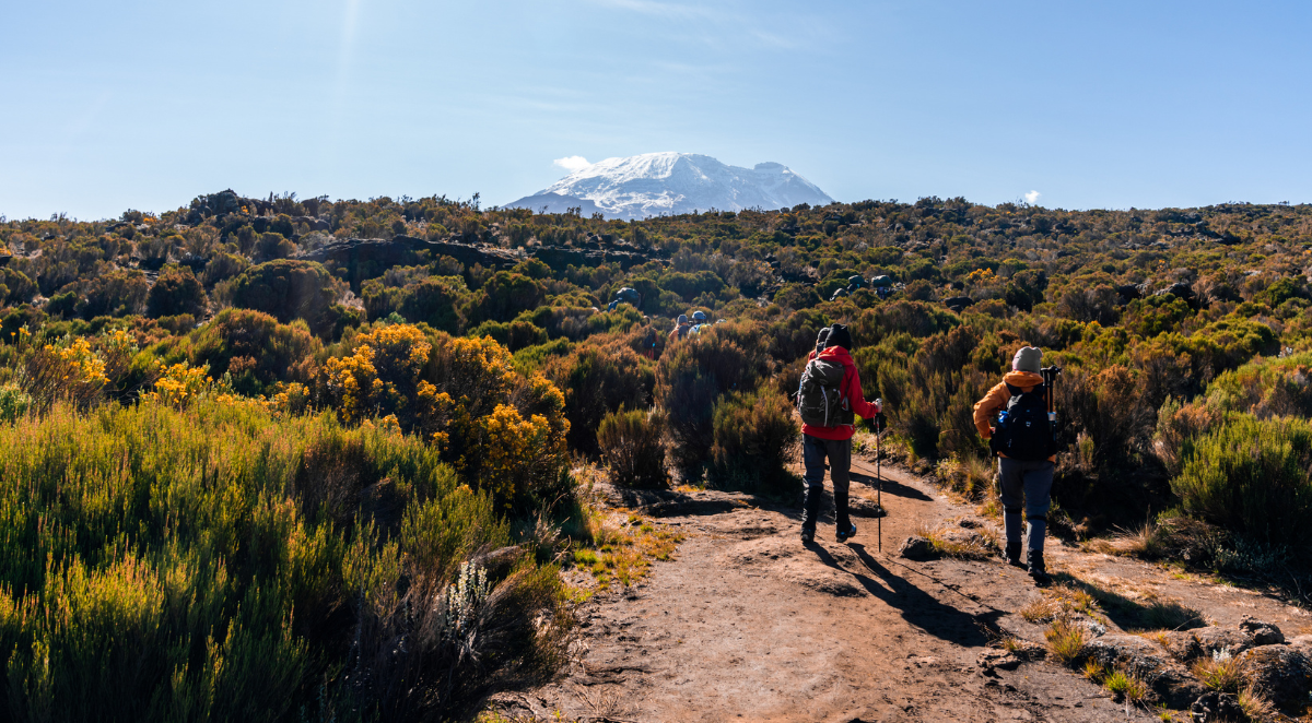 Mt Kilmanjaro with Kibo Peak