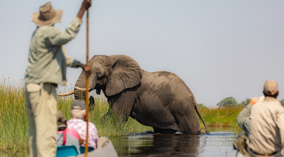 Okavango Delta Botswana
