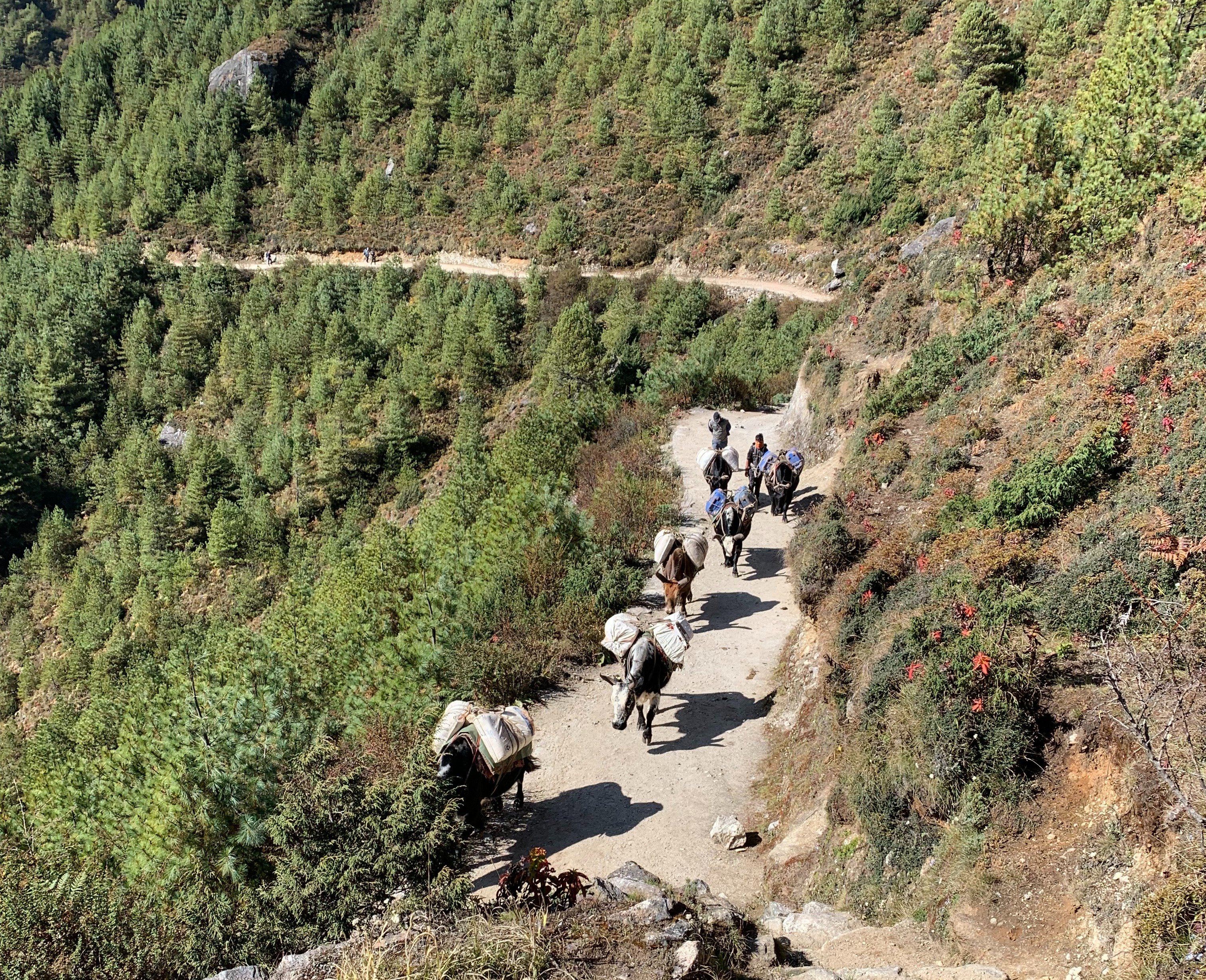 Ours. EBC trek porters