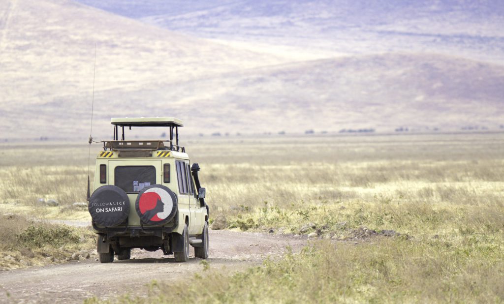 Follow-Alice-on-Tanzania-Safari-1-1024x618.jpg