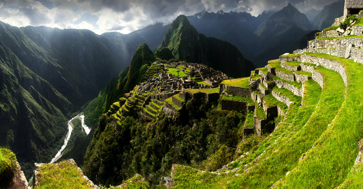 Ours. S. Macchu Pichu, Peru