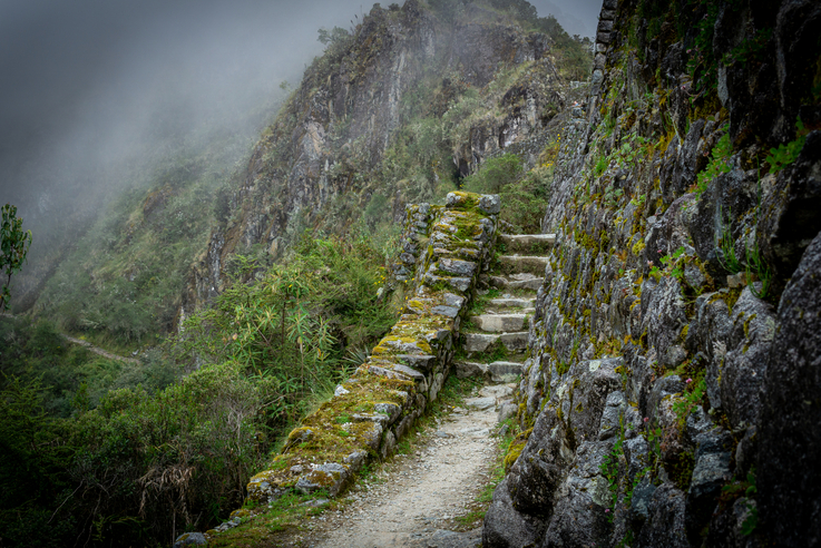 Ours. S. Footpath on the Classic Inca Trail March 2019, Peru
