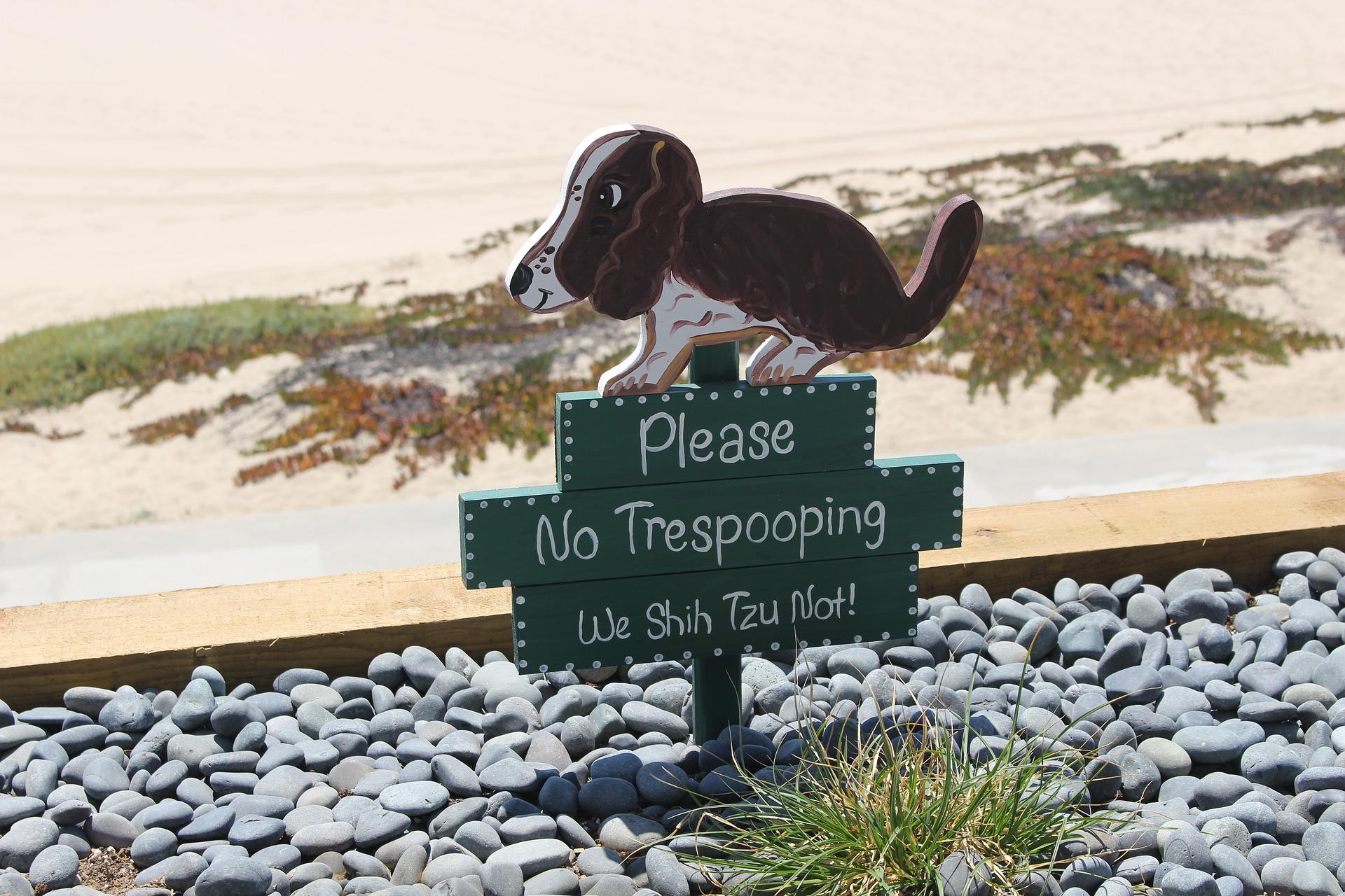 No dog poop sign on beach eco footprint principles