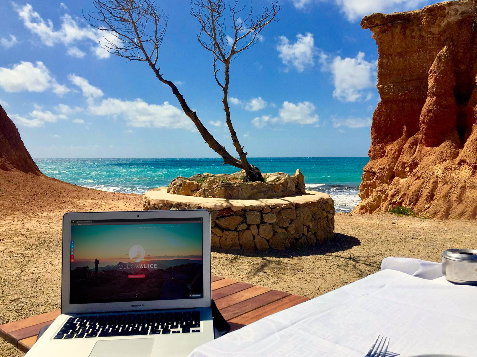 Follow-Alice-office-on-the-beach-.jpg