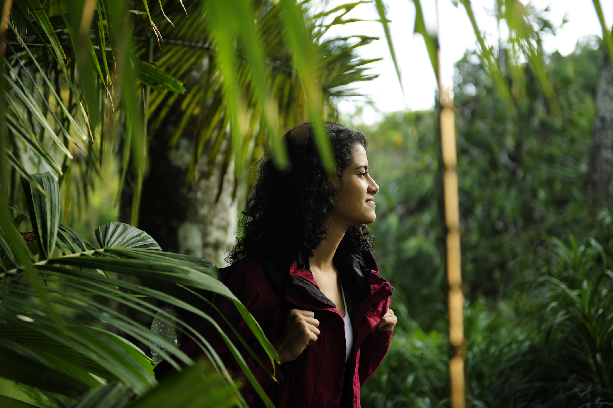 Female backpackers standing among fronds