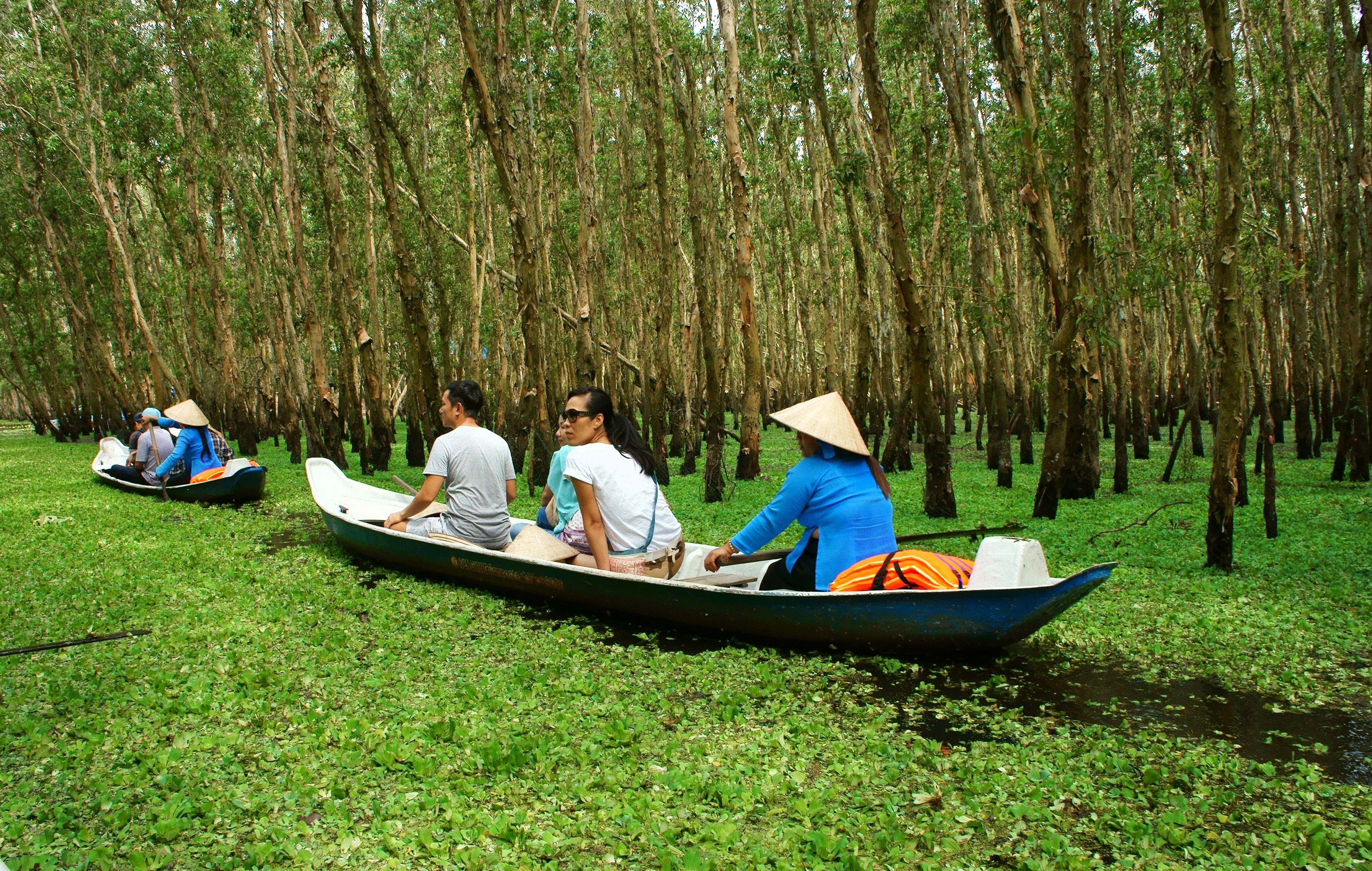 Vietnam canoes ecotourism