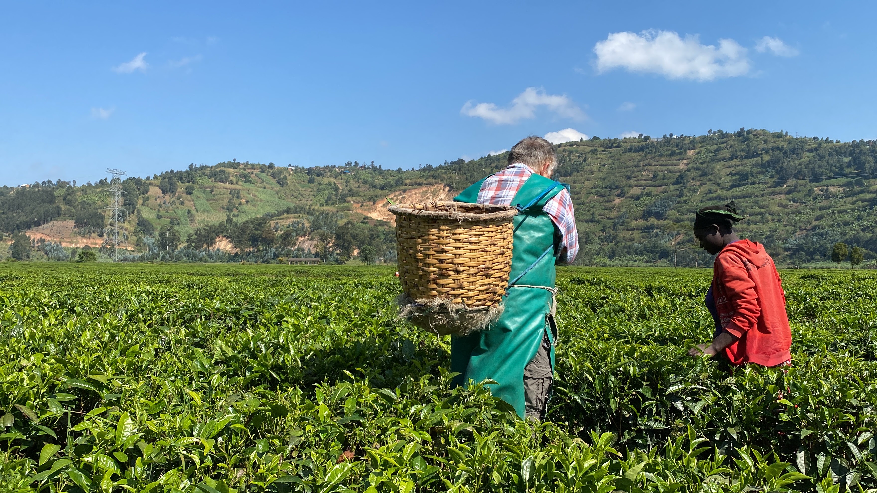 Man working with local Rwandan tea workers as part of a cultural immersion experience