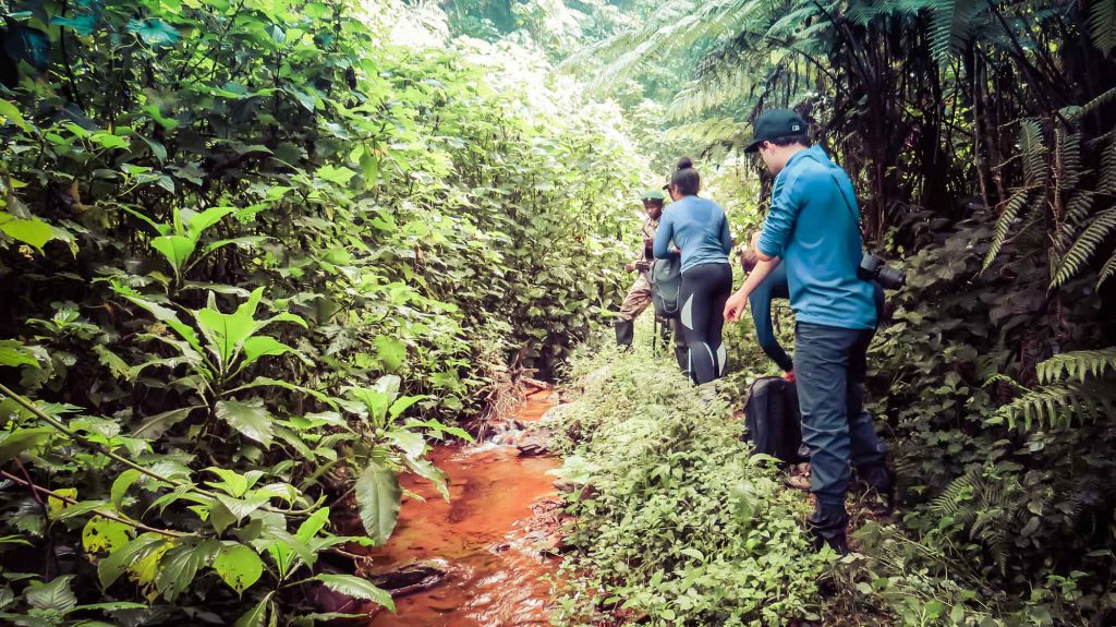 Rager-explaning-on-gorilla-trekking-in-Uganda-1024x575.jpg