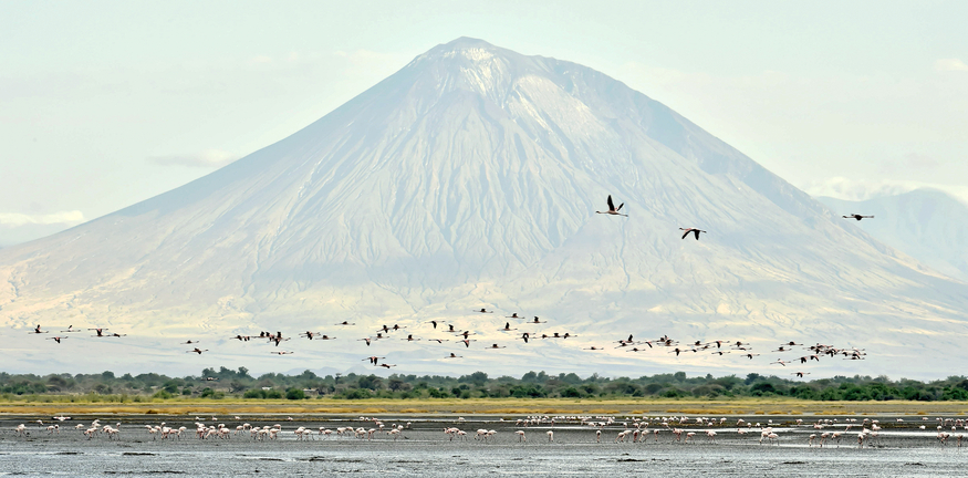 Lesser-flamingos-fly-over-the-Lake-Natron-1.jpg