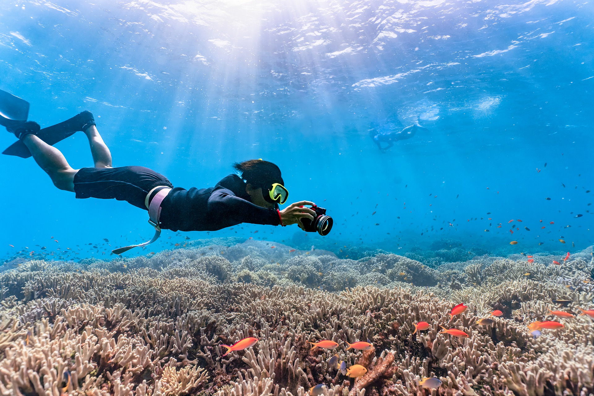 Woman snorkelling among fish with water camera