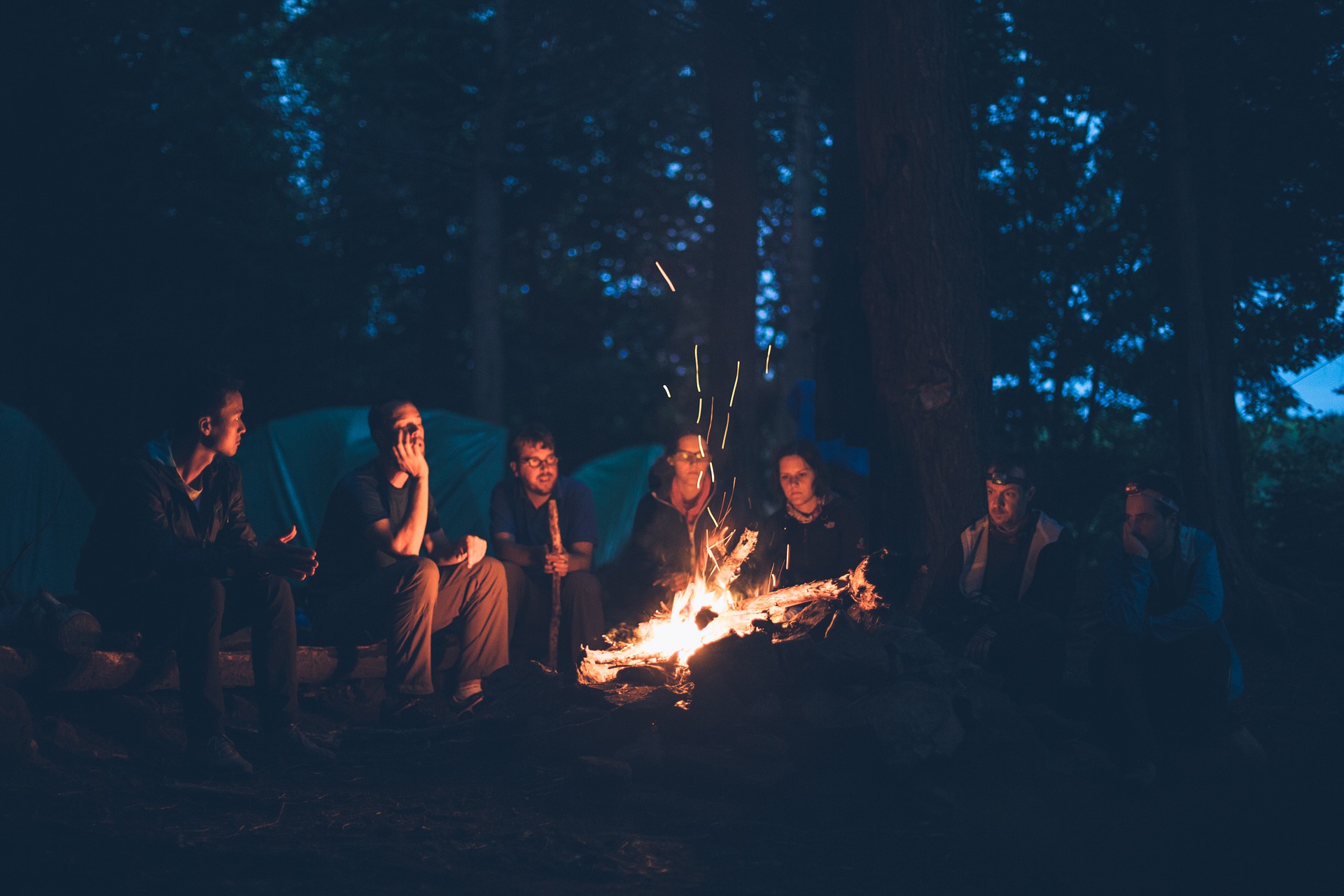 Group bonfire night forest