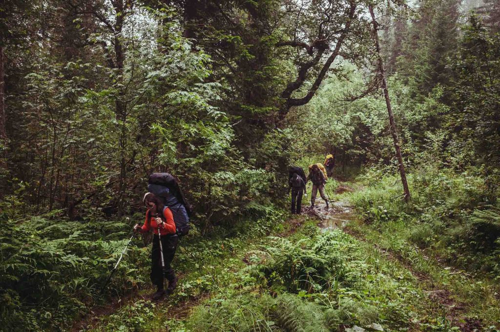 Trekkers-walking-along-muddy-forest-trail-1024x679.jpg