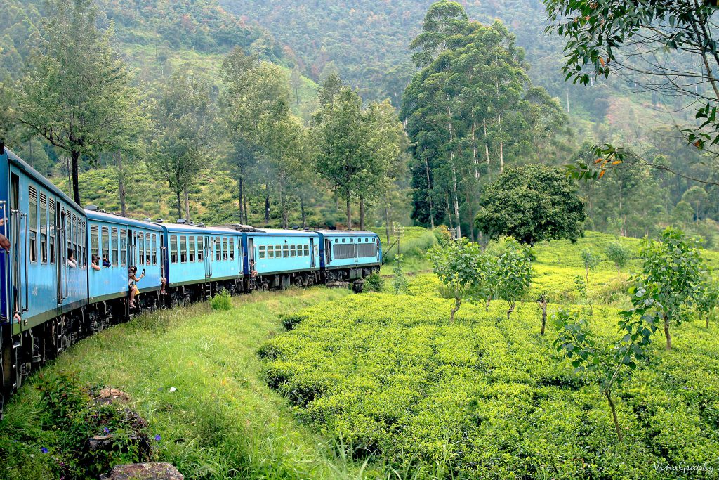 Sri-Lanka-beautiful-train-ride-1024x683.jpg