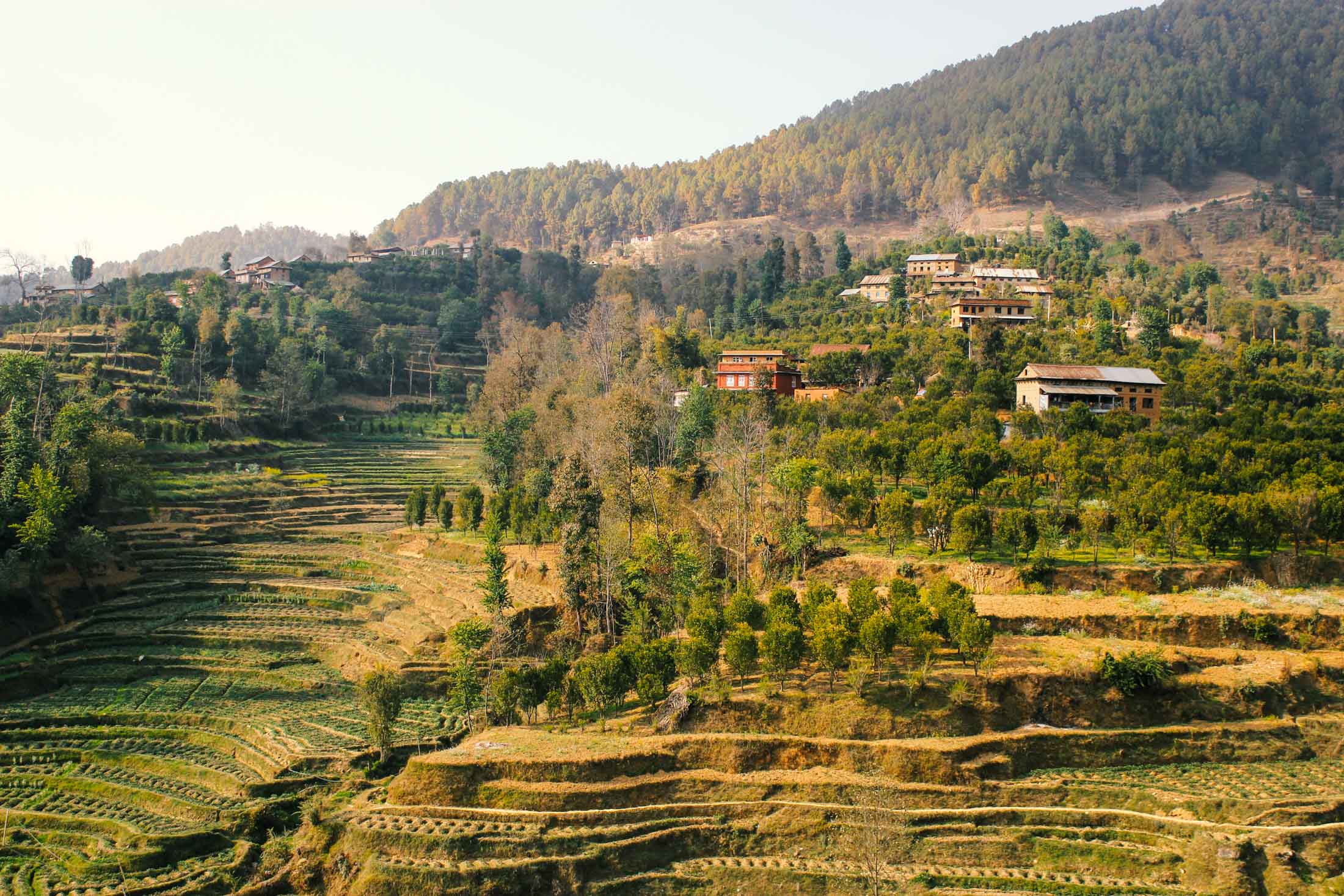 Follow-Alice-to-Nepal-8.jpg