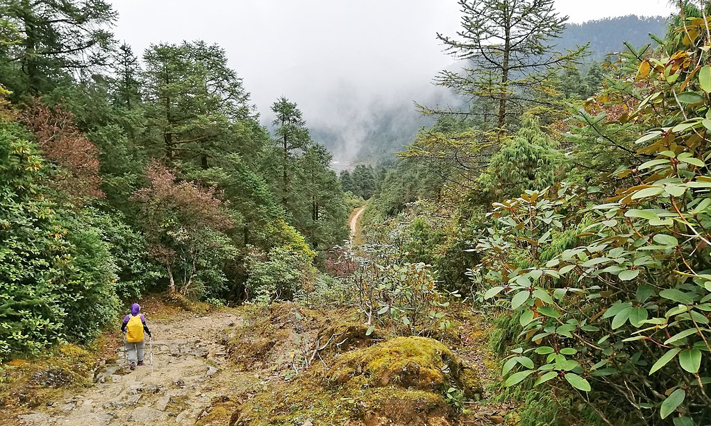 Helambu-trek-Nepal.jpg