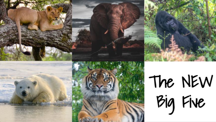 New-Big-Five-2.jpg