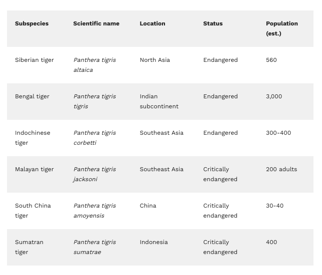 Tiger species