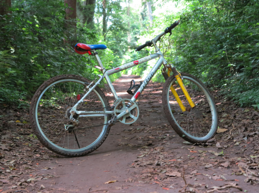 MTB-in-Rau-Forest-Reserve
