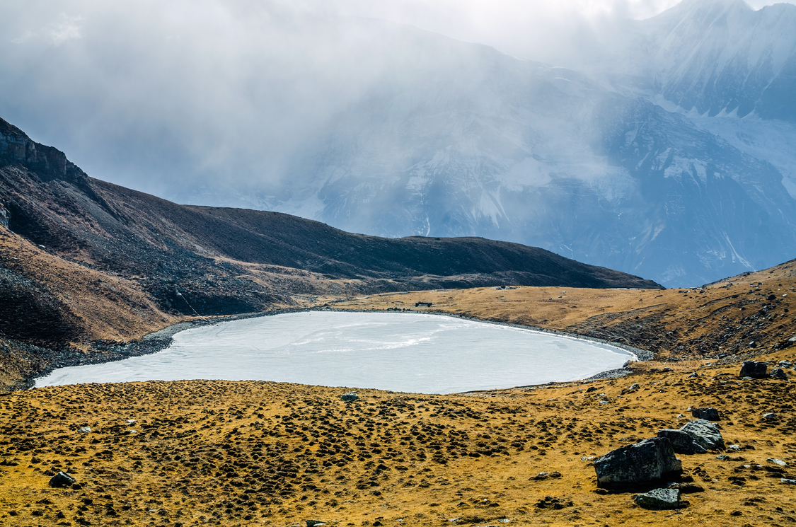 Ours. S. Kicho Tal, Annapurna Circuit, Nepal