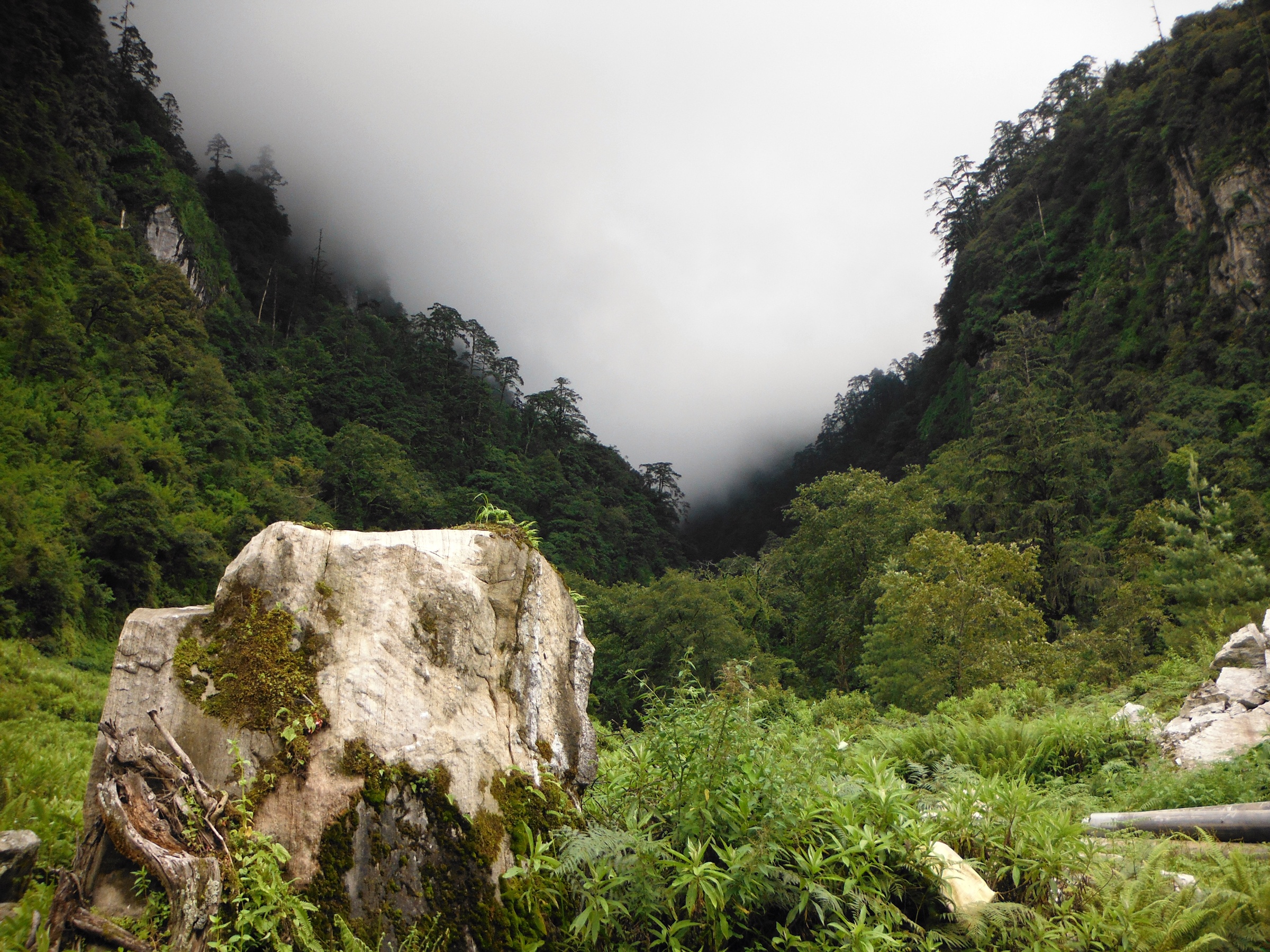 A misty monsoon day on the lower Annapurna Circuit