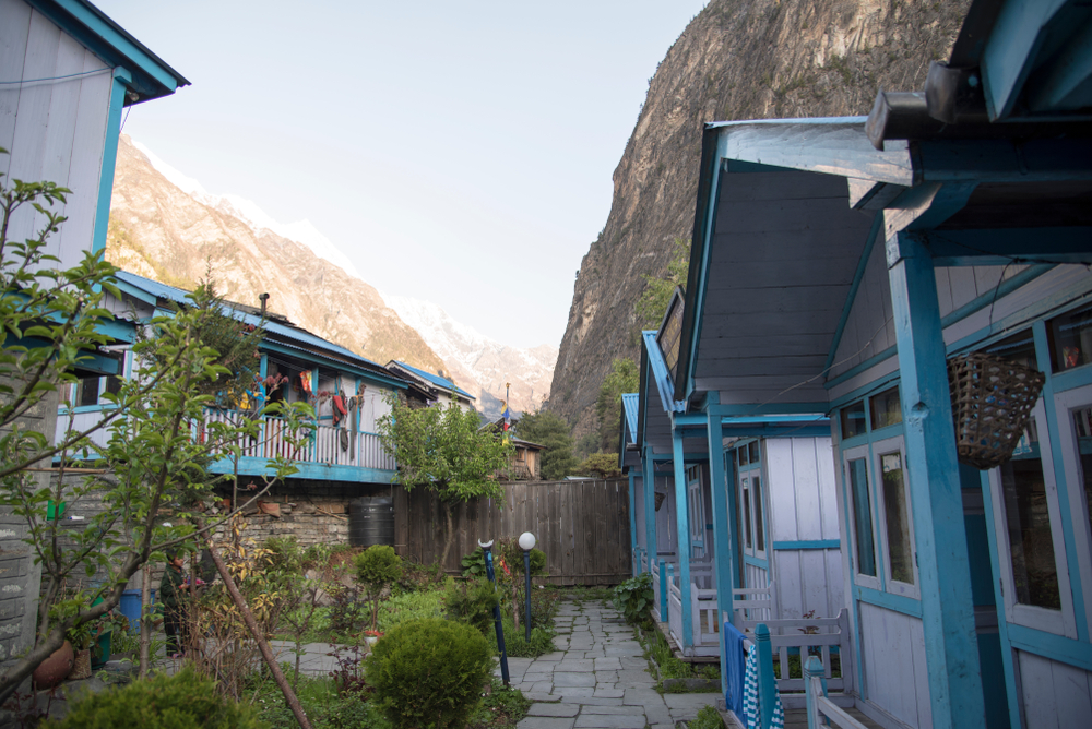 Ours. Teahouse on Annapurna Circuit trek, Nepal