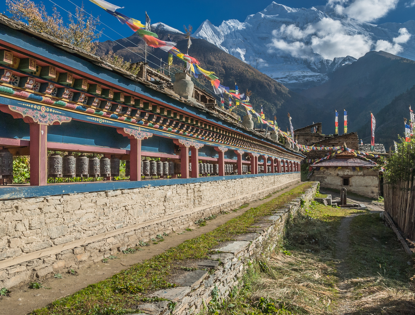 Ours. S. Upper Pisang, Annapurna Circuit, Nepal