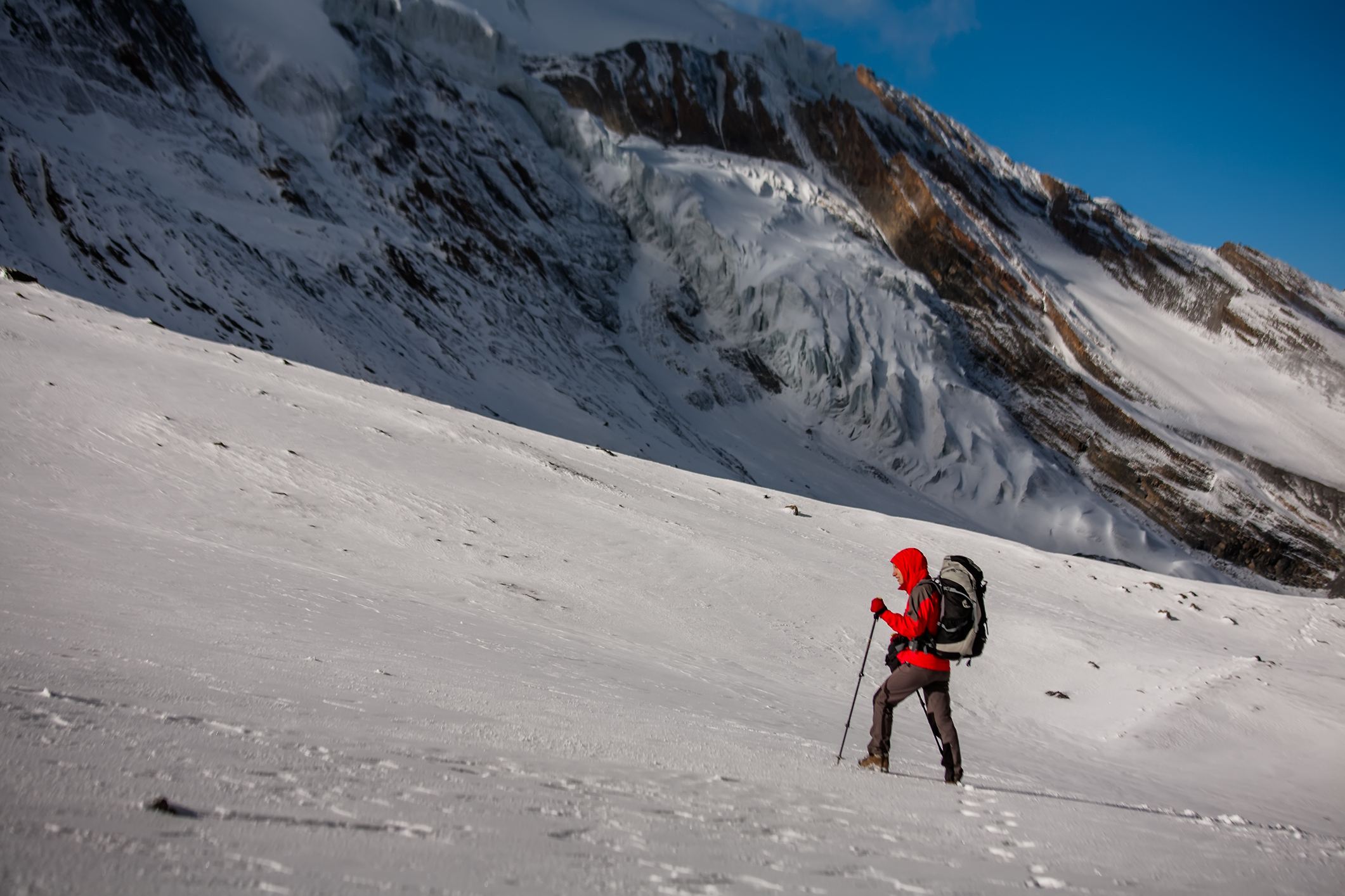 Annapurna Circuit trekker walking in snow near Thorung La pass, Nepal