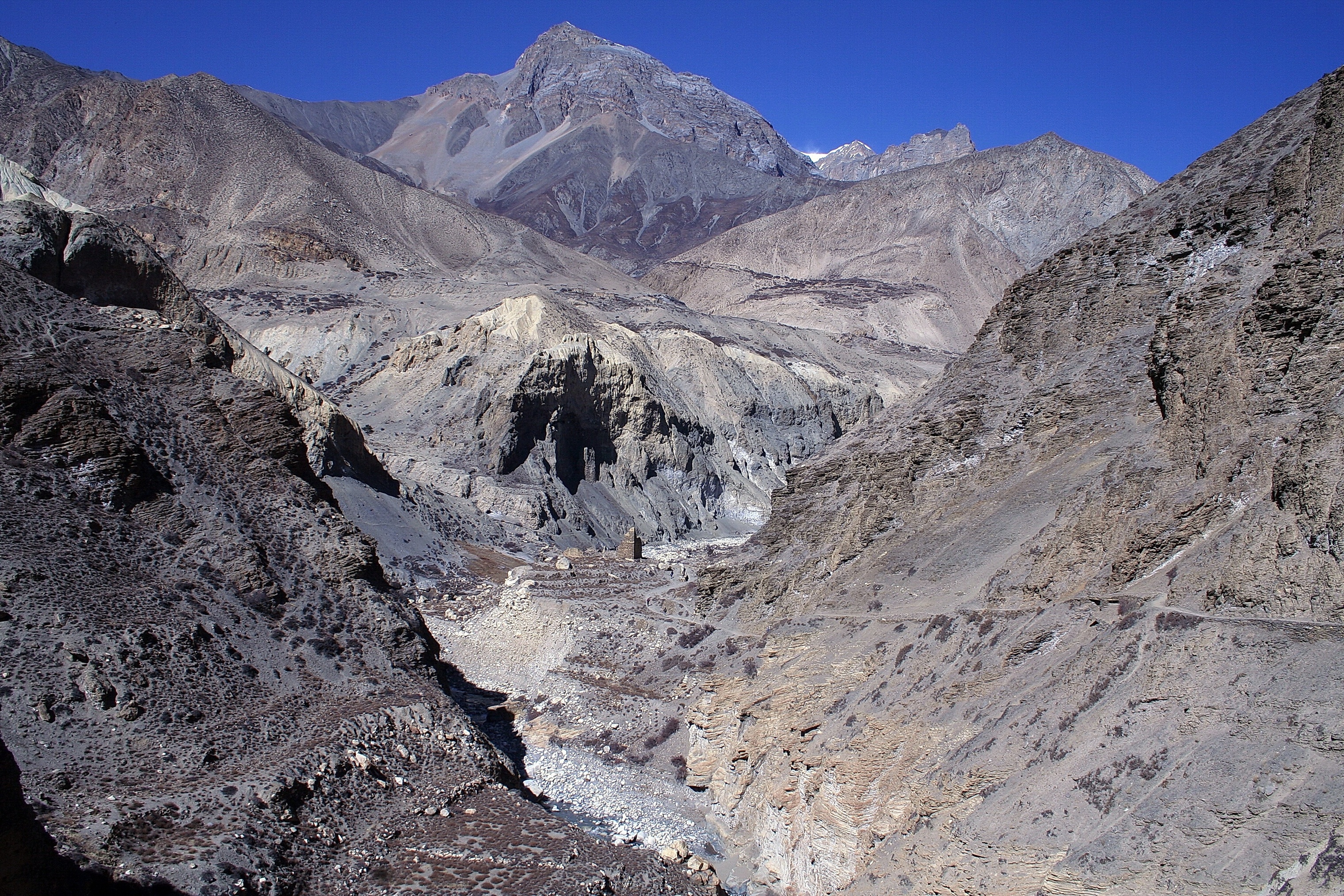 Ours. Phu Valley, Annapurna Circuit, Nepal