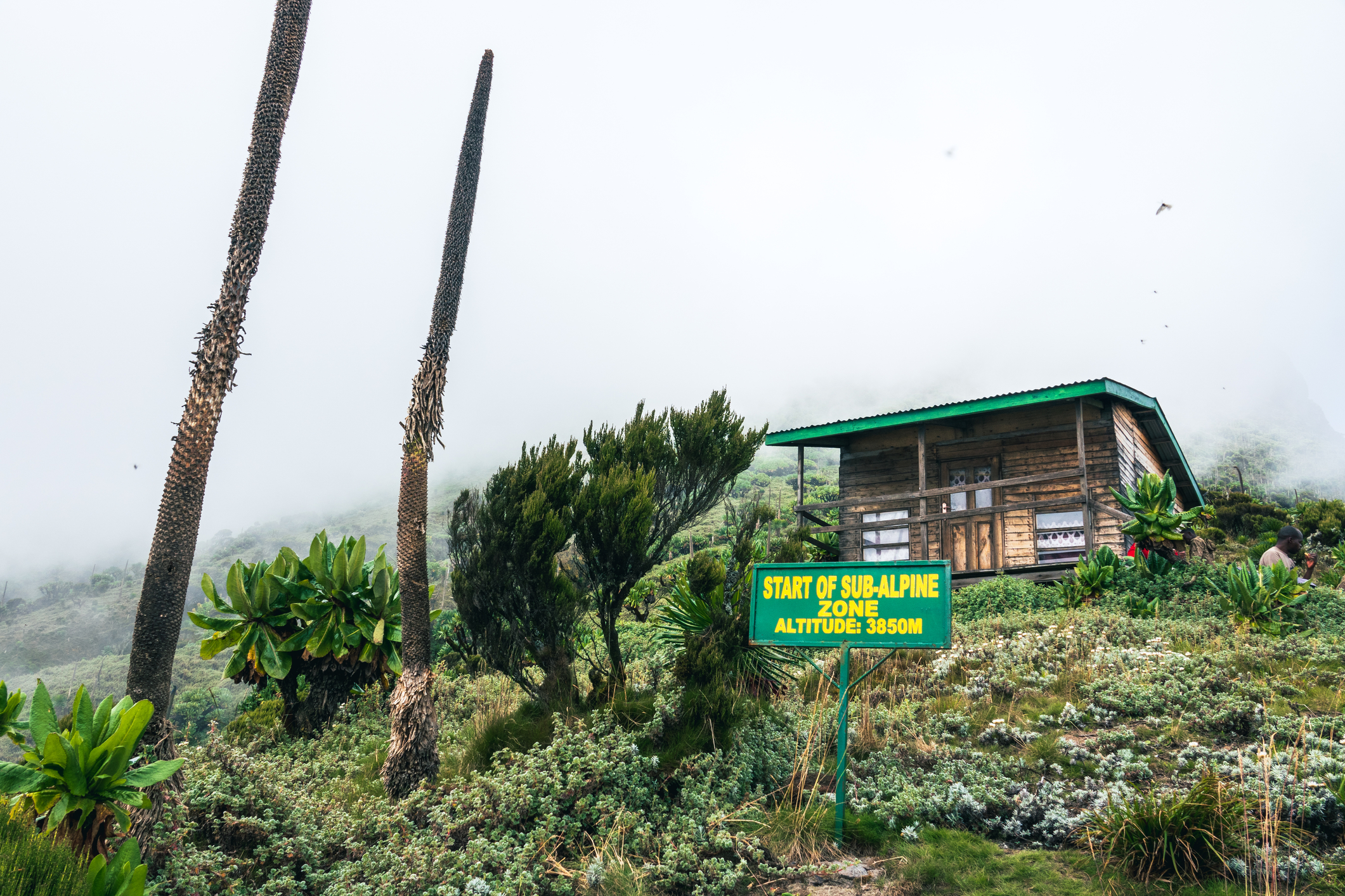 Wood hut and sign post for start of moorland zone in Mgahinga Gorilla National Park, Uganda