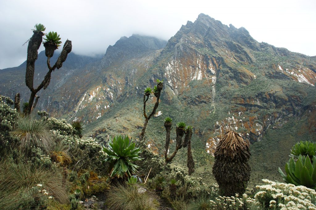 Rwenzori-Mtns-Uganda-1-1024x682.jpg