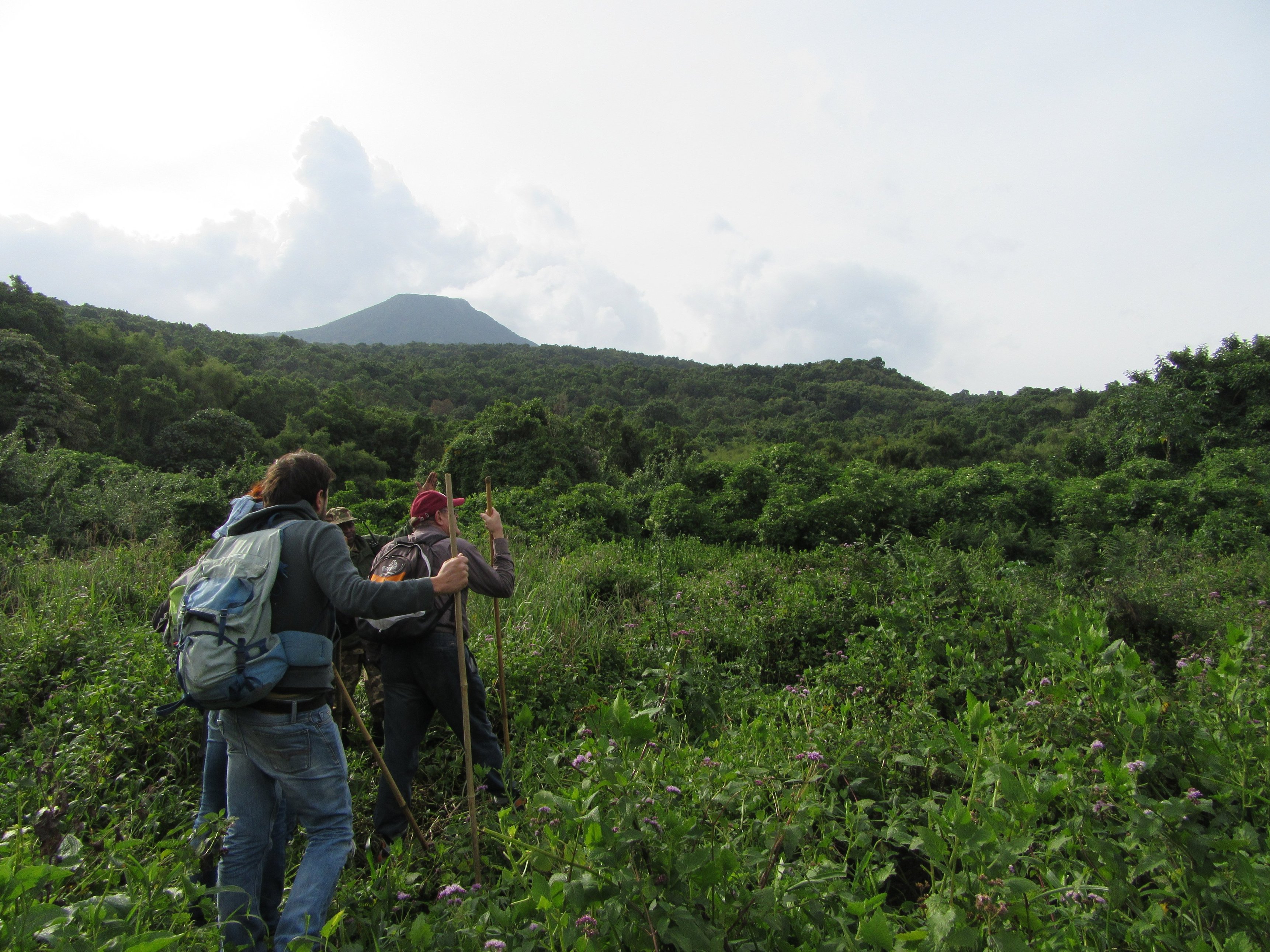 Gorilla trekkers in Mgahinga NP, Uganda