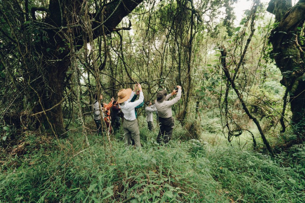 Bwindi-hike-1024x683.jpg