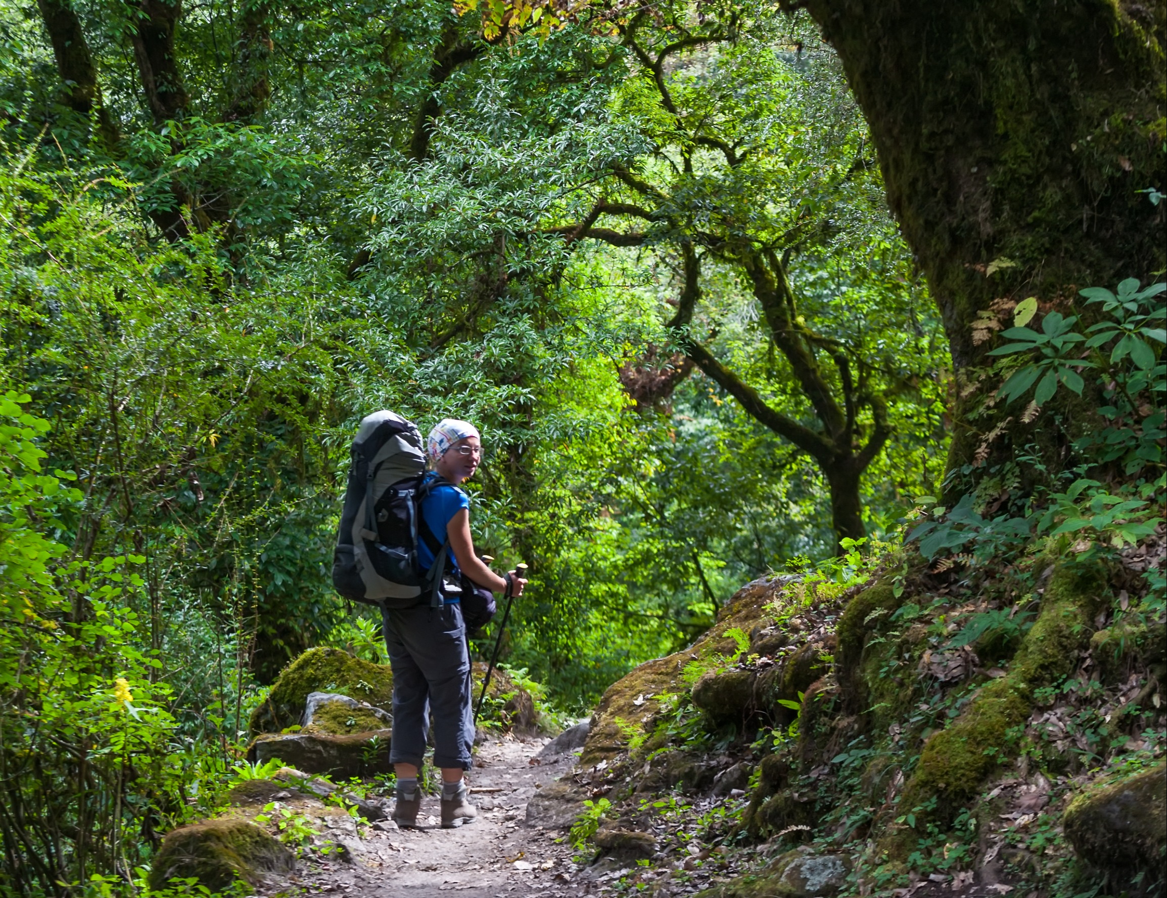 Trekker on forest trail on Manaslu Circuit, Nepal