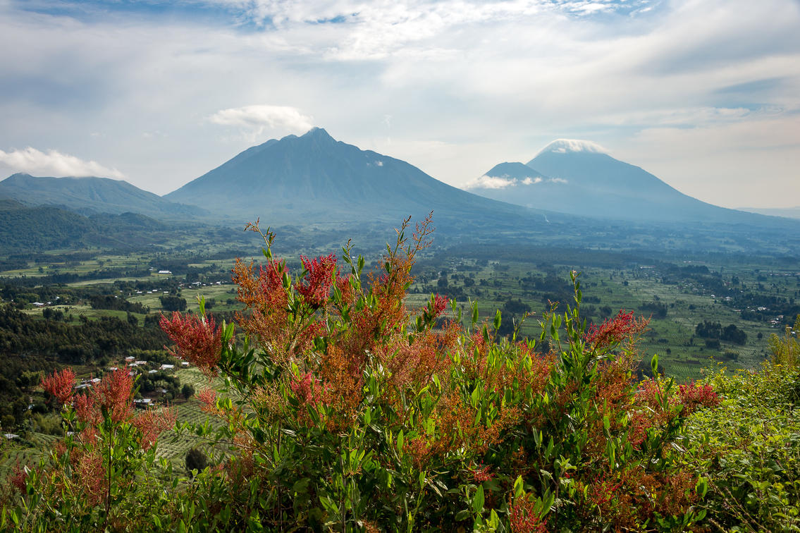 View towards Volcanoes NP from hill behind Wilderness Bisate, Dana Allen
