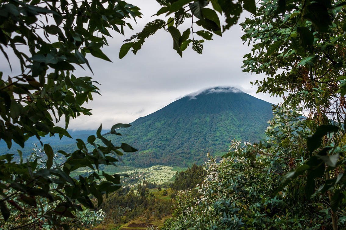 Mount Bisoke (also Visoke) is an active volcano in the Virunga Mountains of the Albertine Rift, Rwanda
