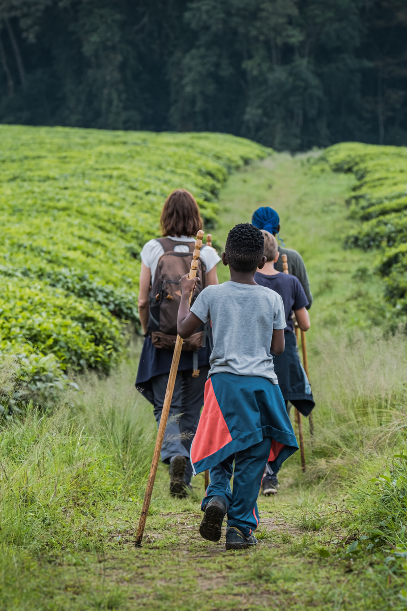 Nyungwe Forest