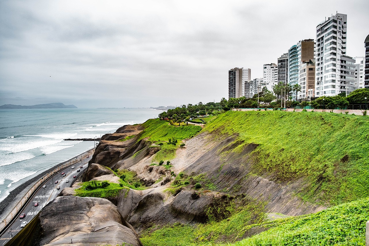 Ours. Lima clifftop highway city, Peru