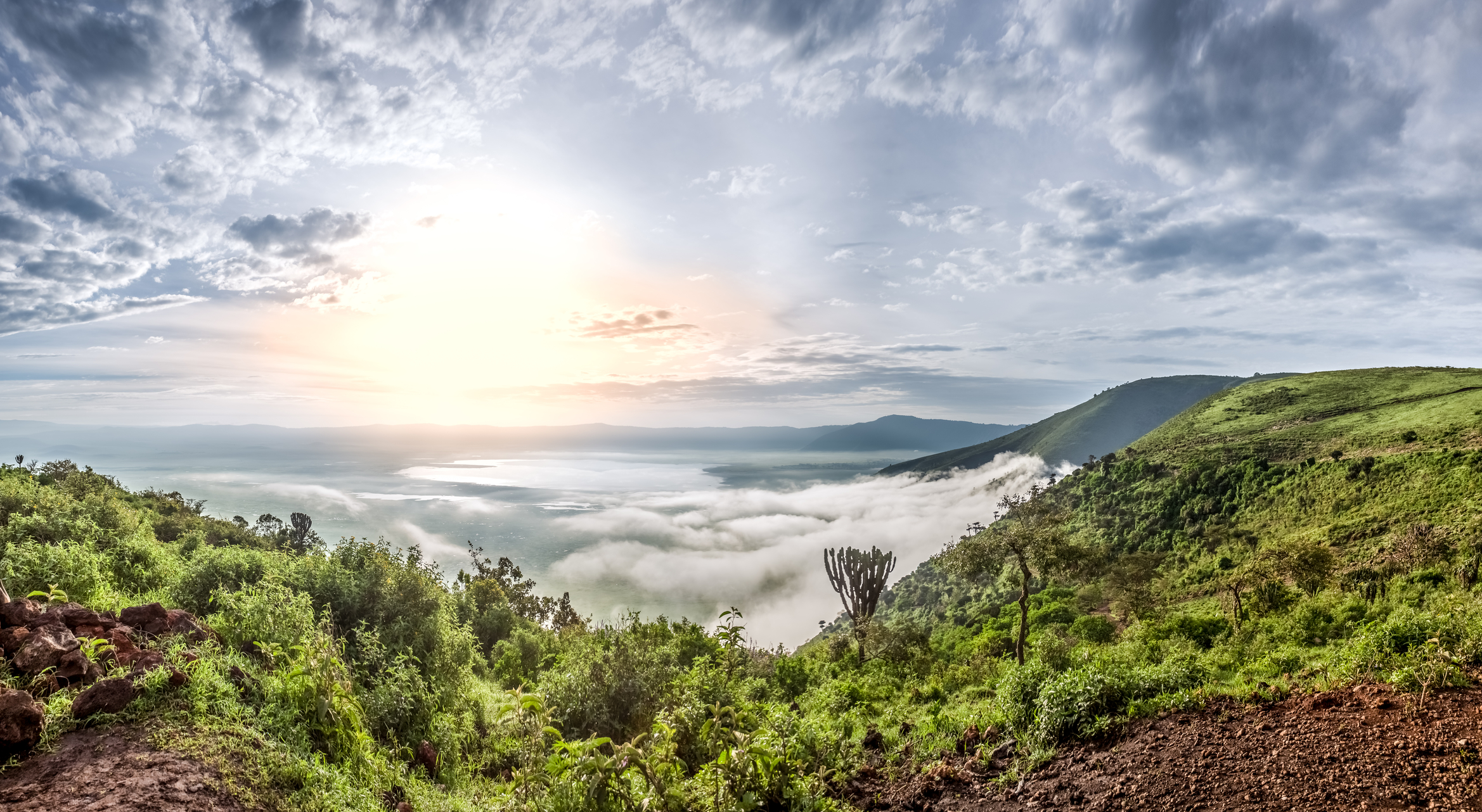 Ngorongoro Crater green season panorama